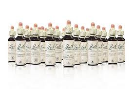 photo activite Julie Chevalet