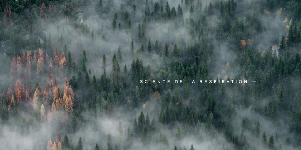 photo cabinet YVES-VINCENT  DAVROUX