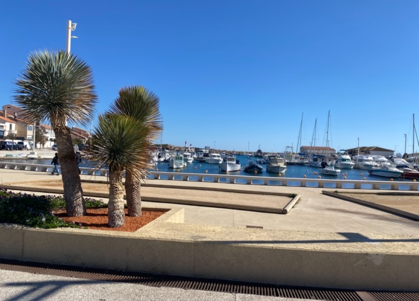 photo activite Lucile Darmedru 