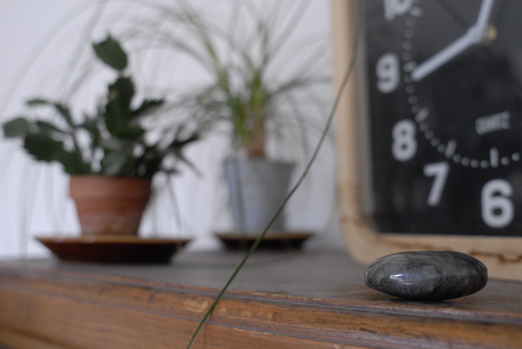 photo activite Stéphane SAUTTER