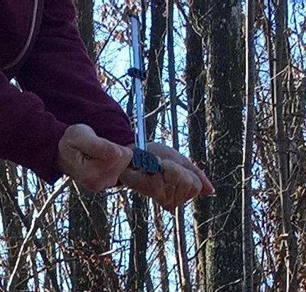 photo portrait TARDIEU Stéphane