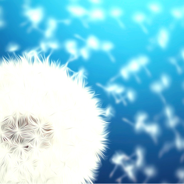 Neurofeedback en Périgord