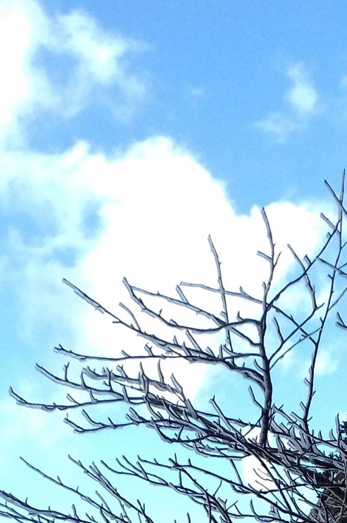 photo portrait DONNAT FABIENNE