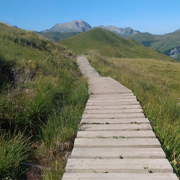 Hélène IMBERTY PISERCHIA
