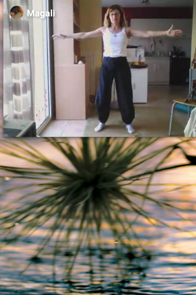 photo seance BREAUD Magali