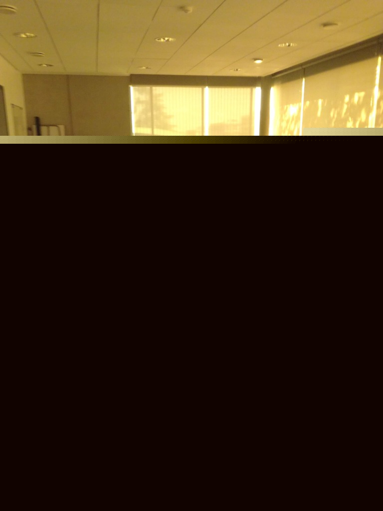 photo activite Elena Marsiquet -Belkina