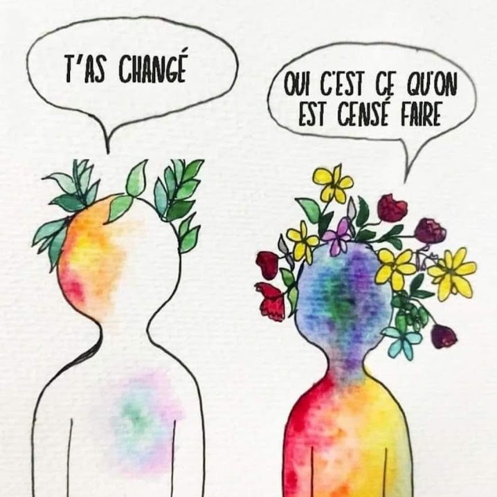 photo diplome Sandie COLLANGE Hypnothérapeute