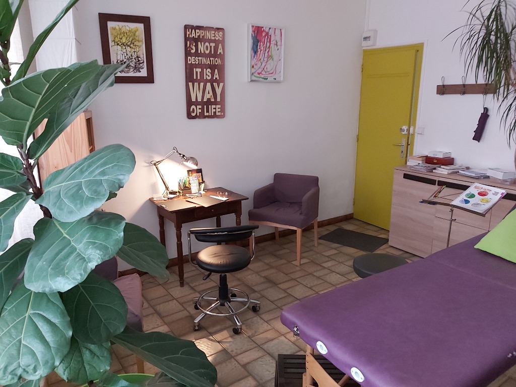 photo cabinet Timour GOSSET