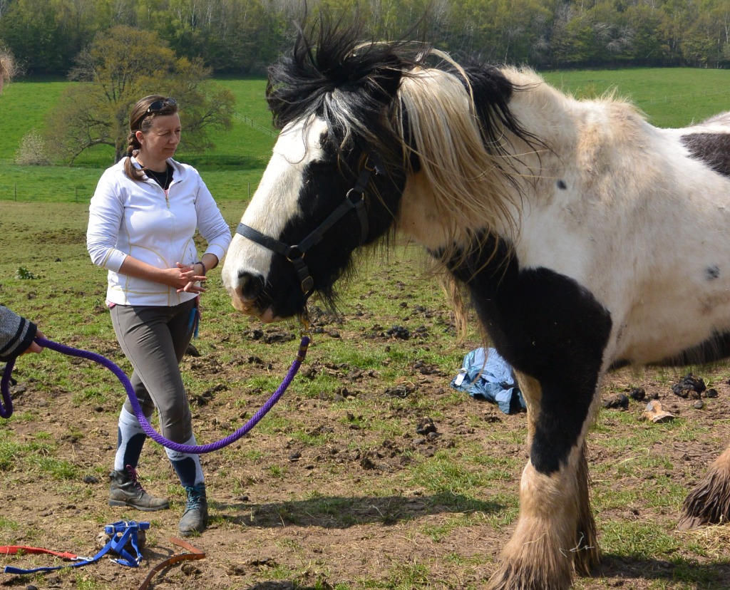 photo activite Aurélie Provost-Boisrobert