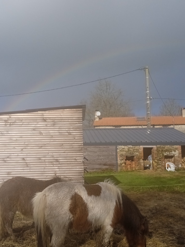 photo cabinet Aurélie Provost-Boisrobert