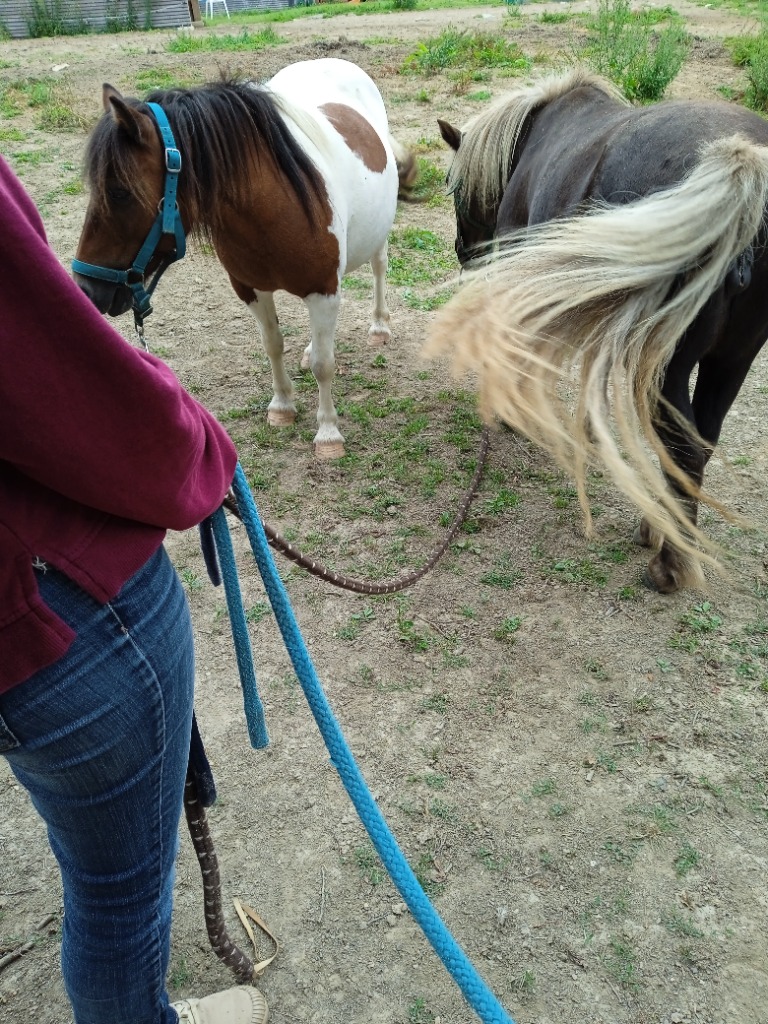 photo seance Aurélie Provost-Boisrobert