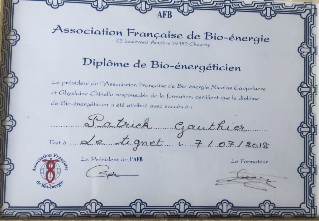 photo activite Patrick Gauthier