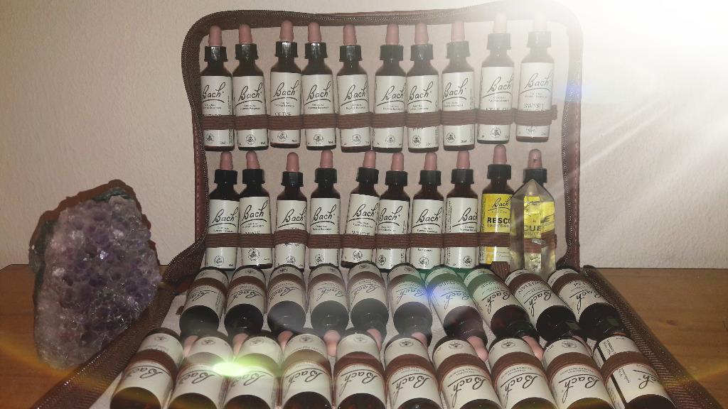 photo activite Pauline Favard