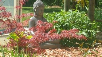 photo portrait Christiane Mutschler