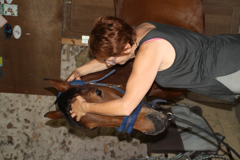 photo seance Christiane Mutschler