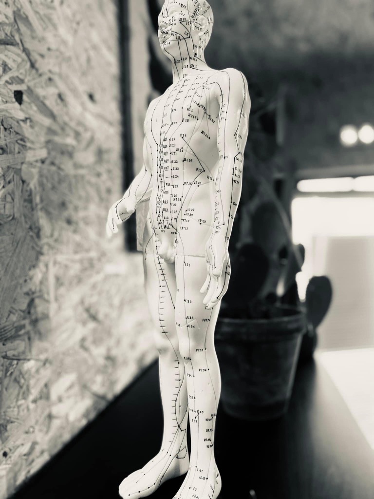 photo portrait Remi Rivere Montgiraud