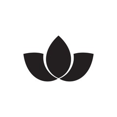 photo cabinet Samuel-Jehan Tarain