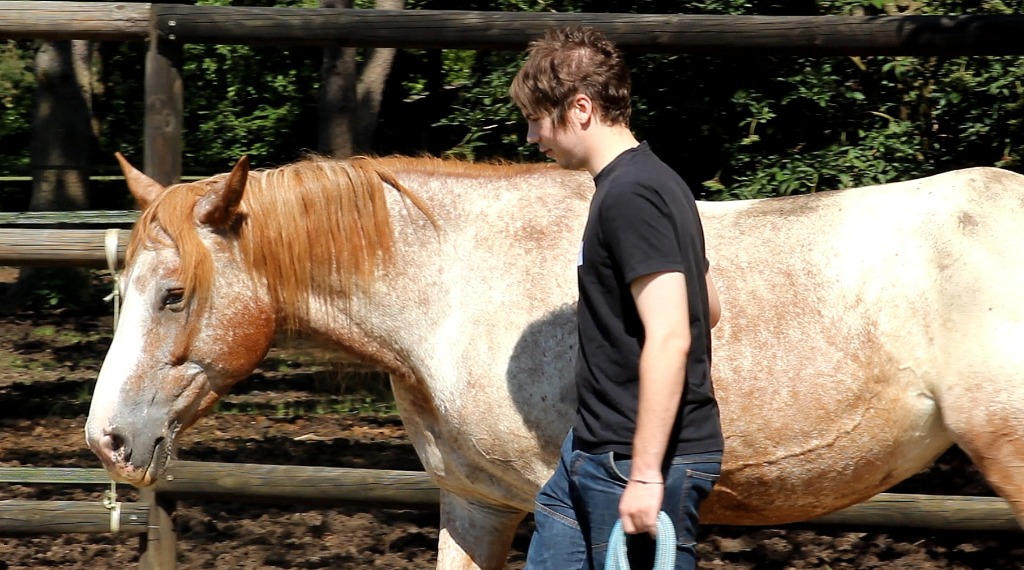 photo activite Bernard Lamonnier