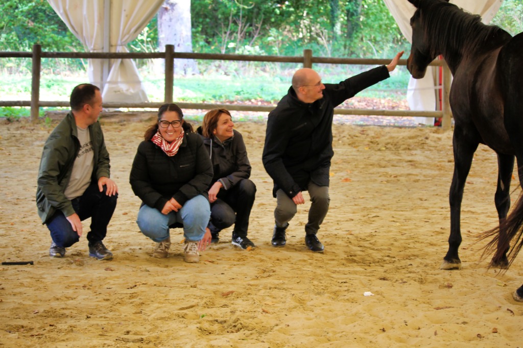 photo cabinet Bernard Lamonnier