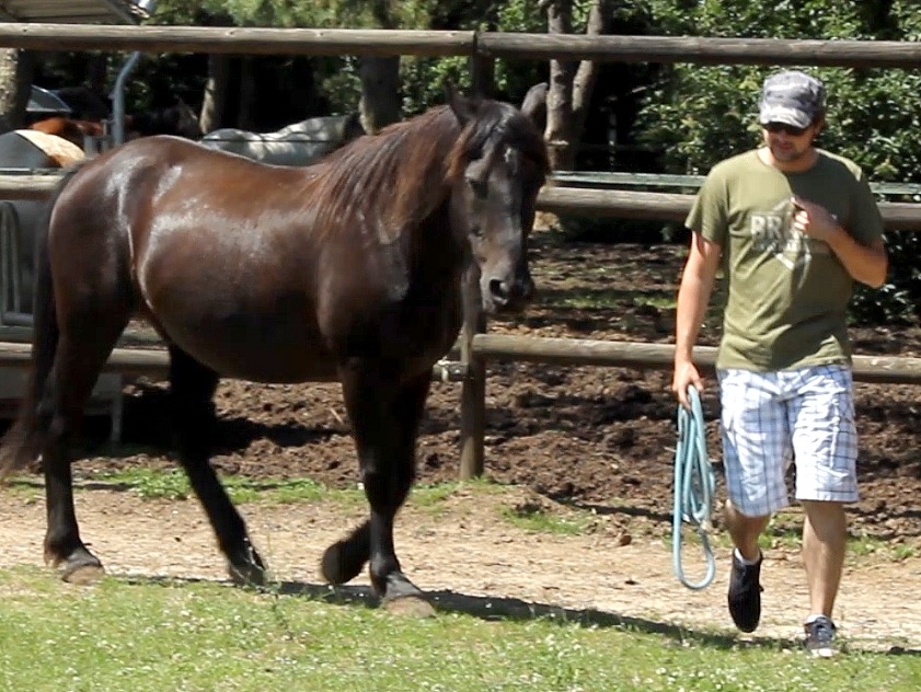 photo seance Bernard Lamonnier