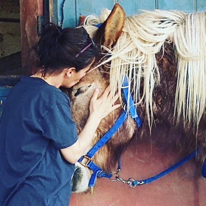 photo seance Alvarez Céline