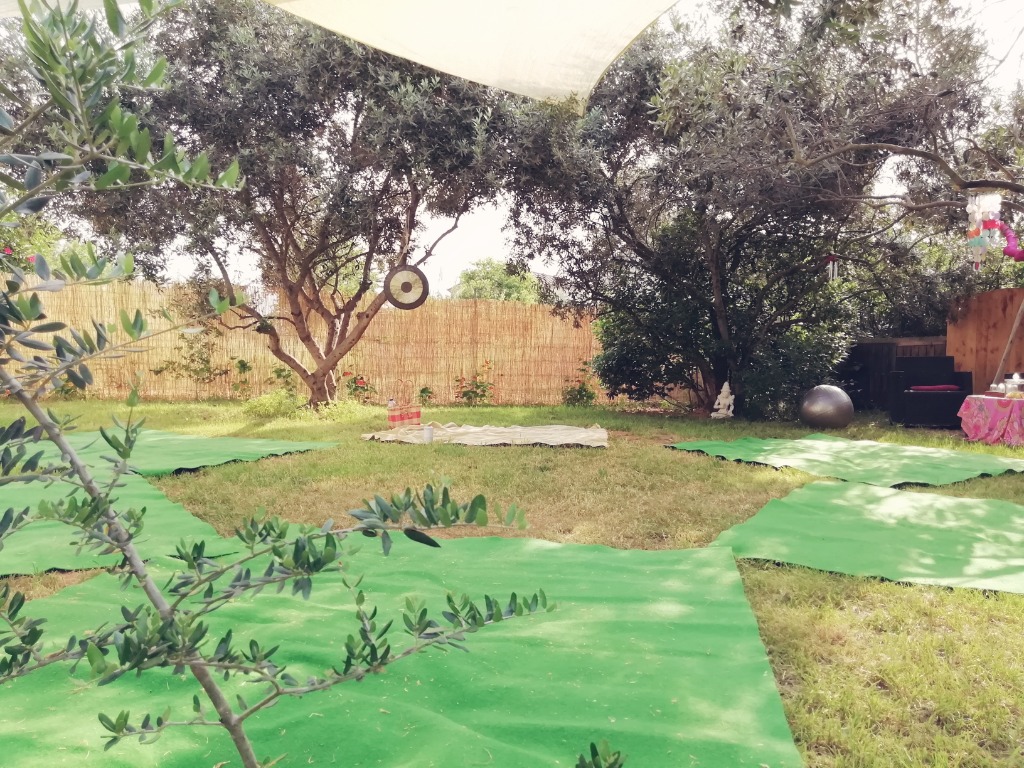 photo activite Carine Roche