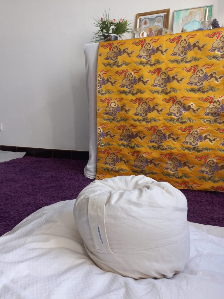 photo activite Laurence Francqueville