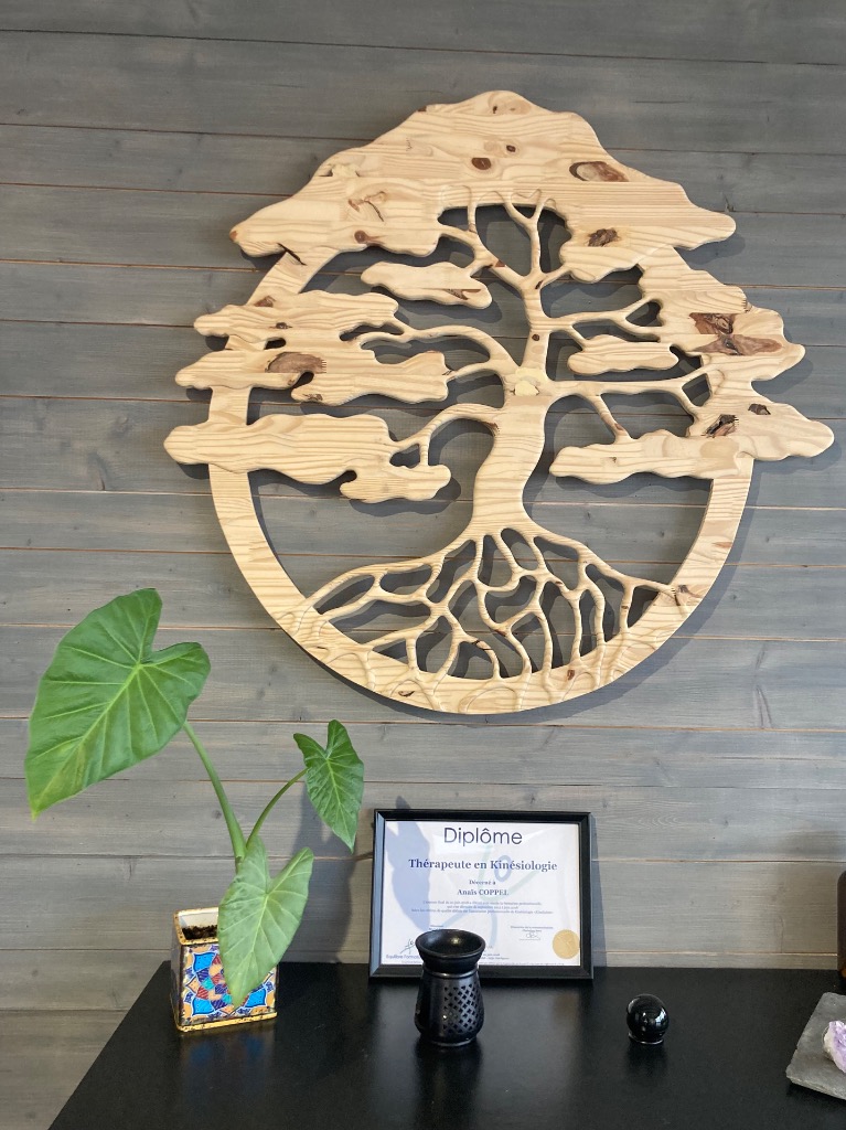 photo diplome Anais Coppel