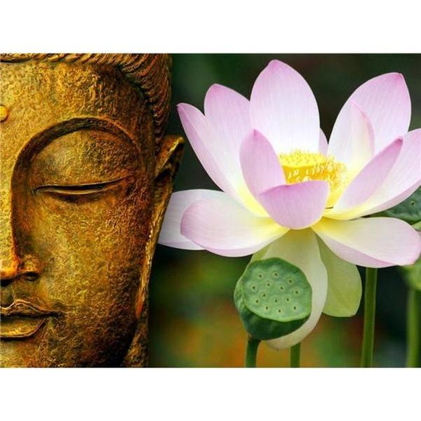 L’arbresacred’Elise