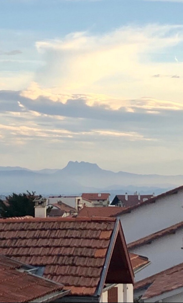 photo cabinet Alicia Guet Brohan