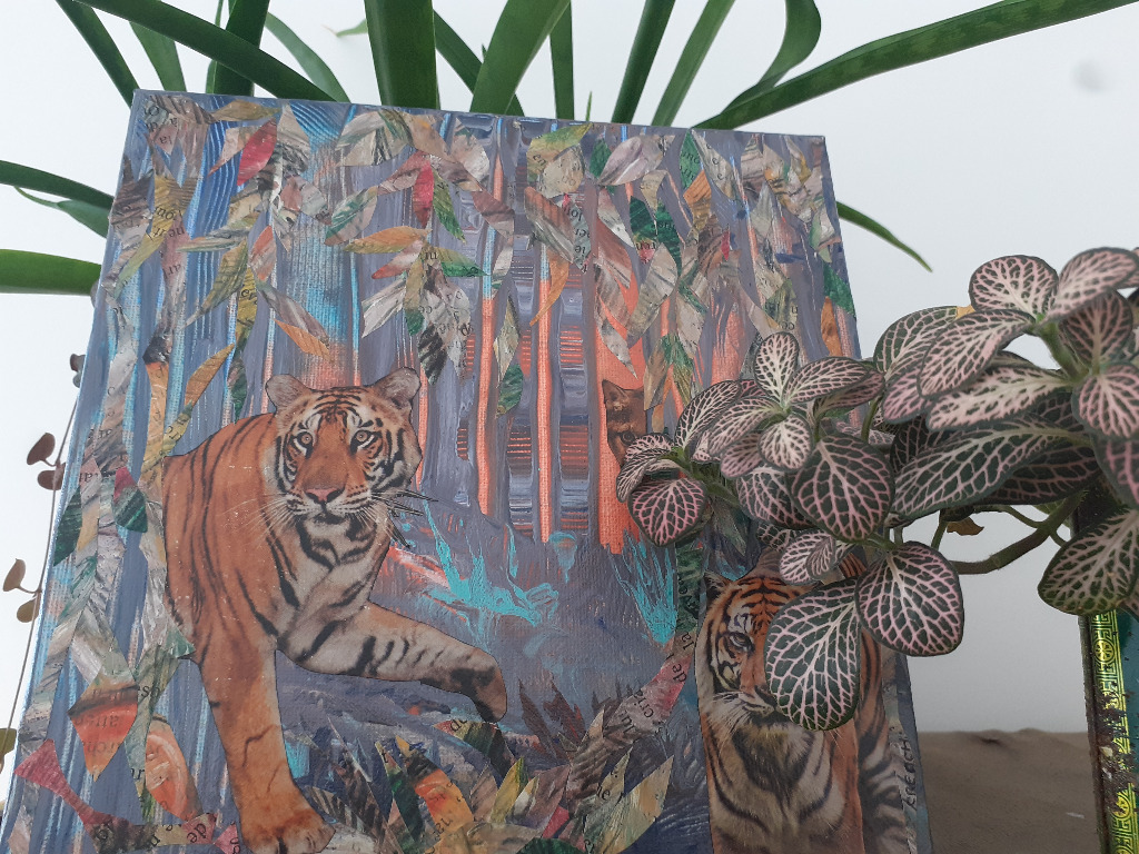 photo seance Elodie Deret