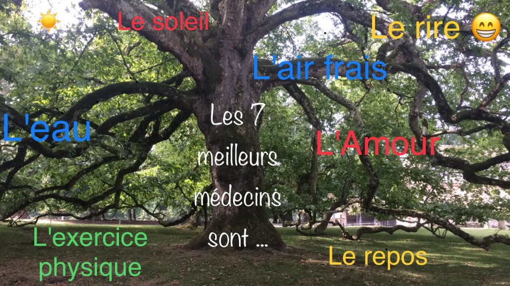 photo activite Marie  Koenig de Kerviler