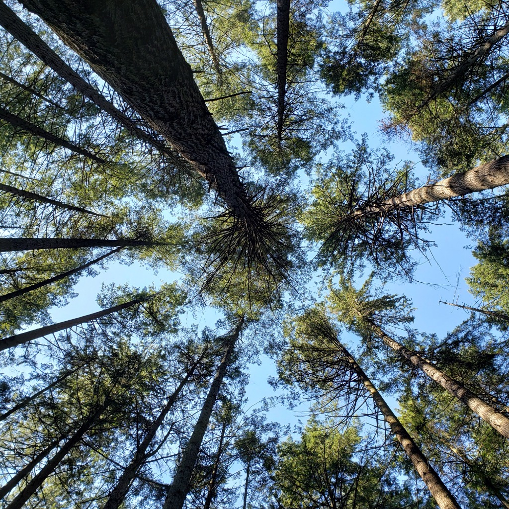 photo cabinet William  GOUSSANOU