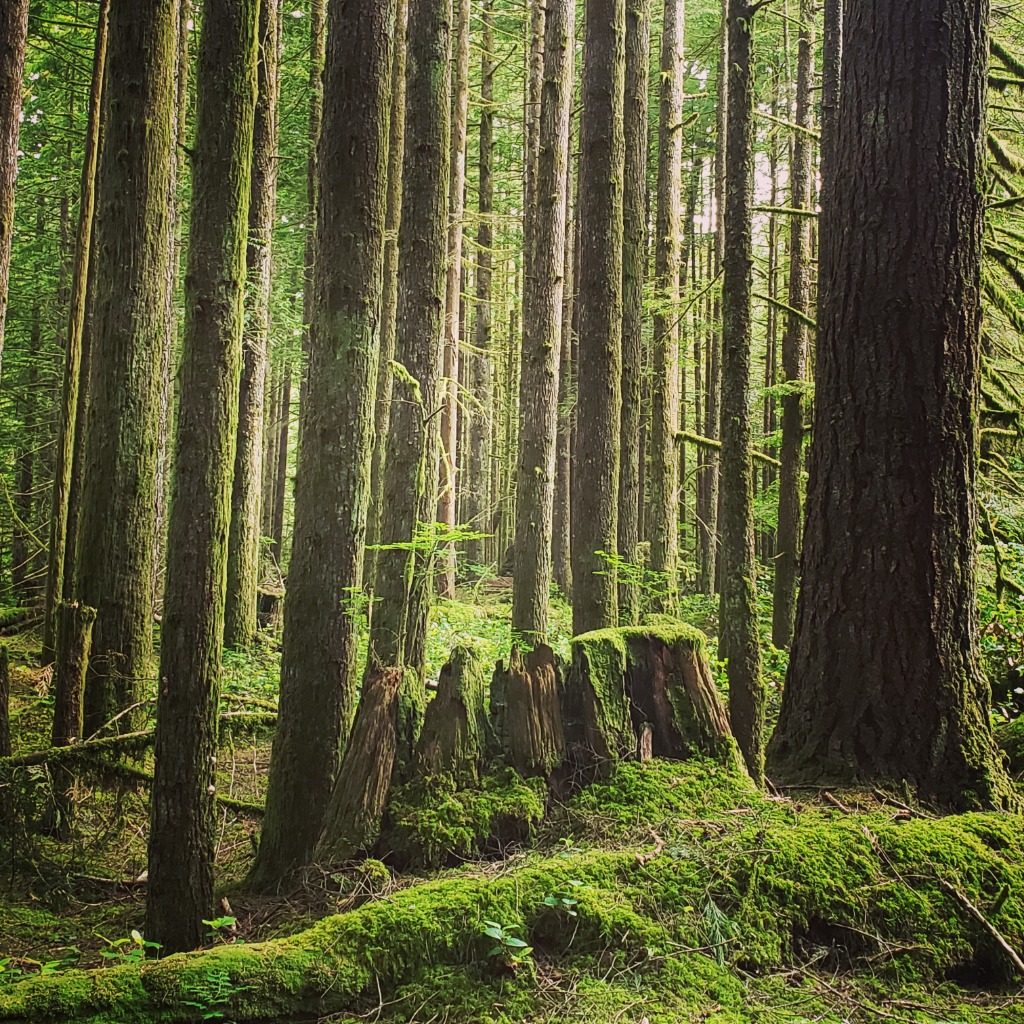 photo seance William  GOUSSANOU