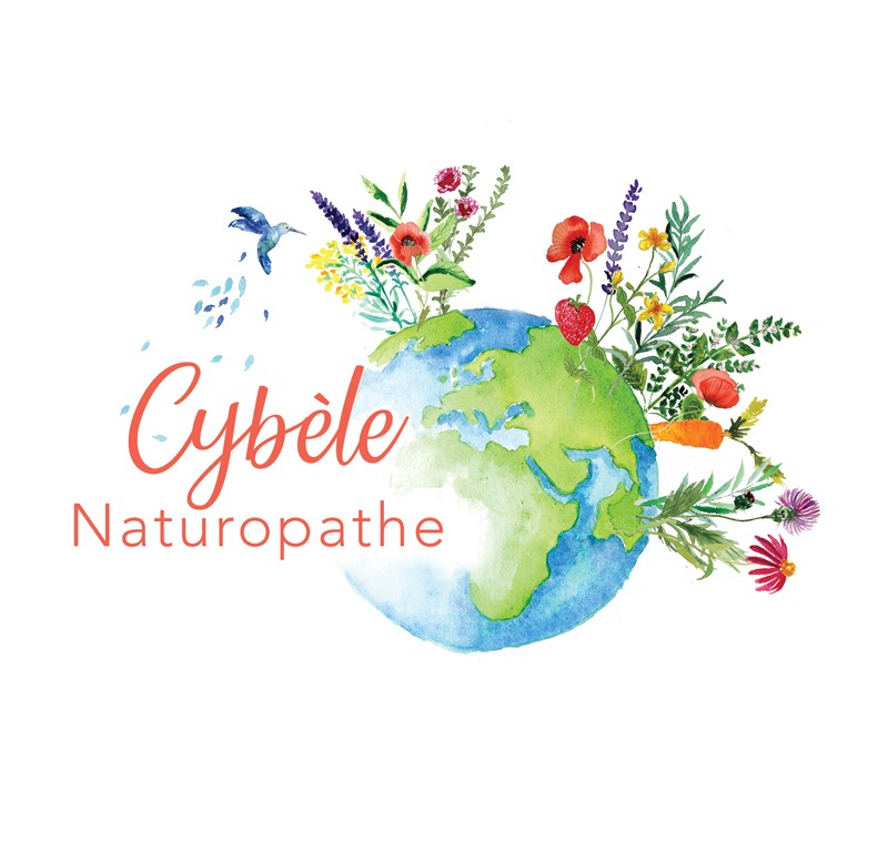 photo cabinet Cybèle Branco-Guichard