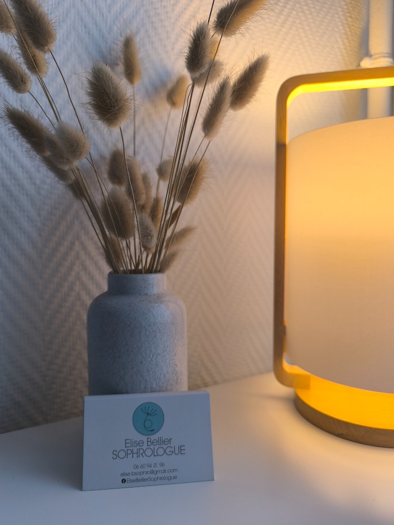 photo cabinet Elise Bellier