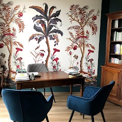 photo cabinet Dorothée ALFONSI