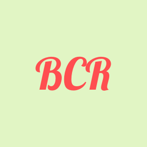 BERNADETTE COUSTET ROY