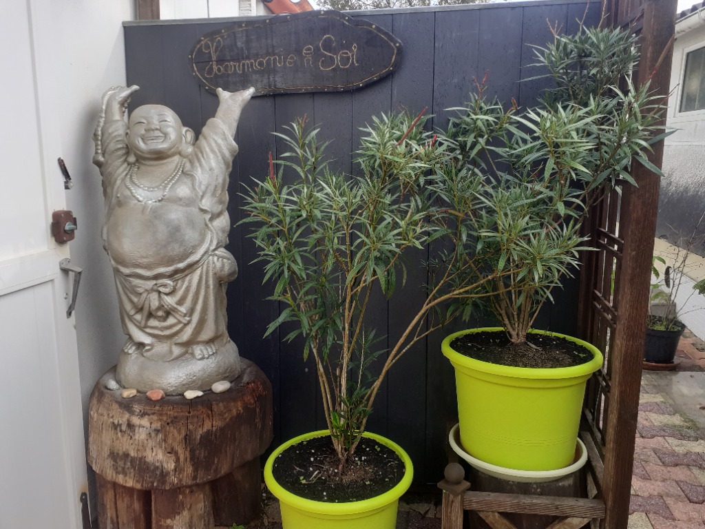 photo cabinet Harmonie en soi Catherine volet