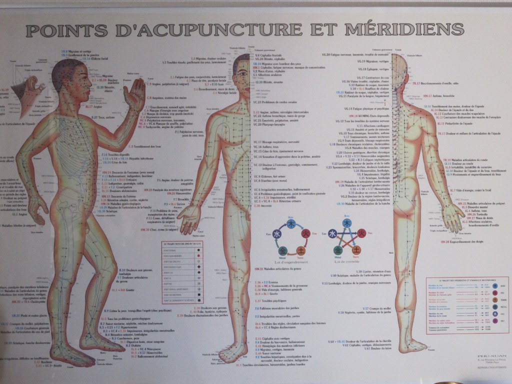 photo activite Catherine Dieuleveut Bordas