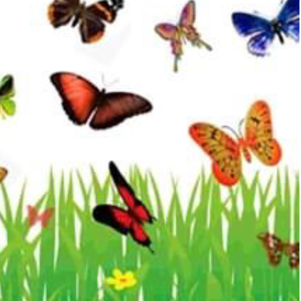 Isabelle Garnier-Raban, bien être sophrologie