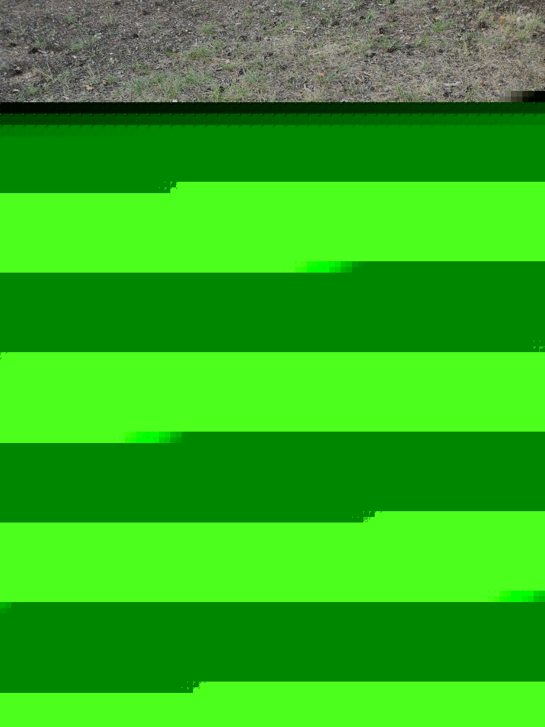 photo activite Élisabeth hinchet