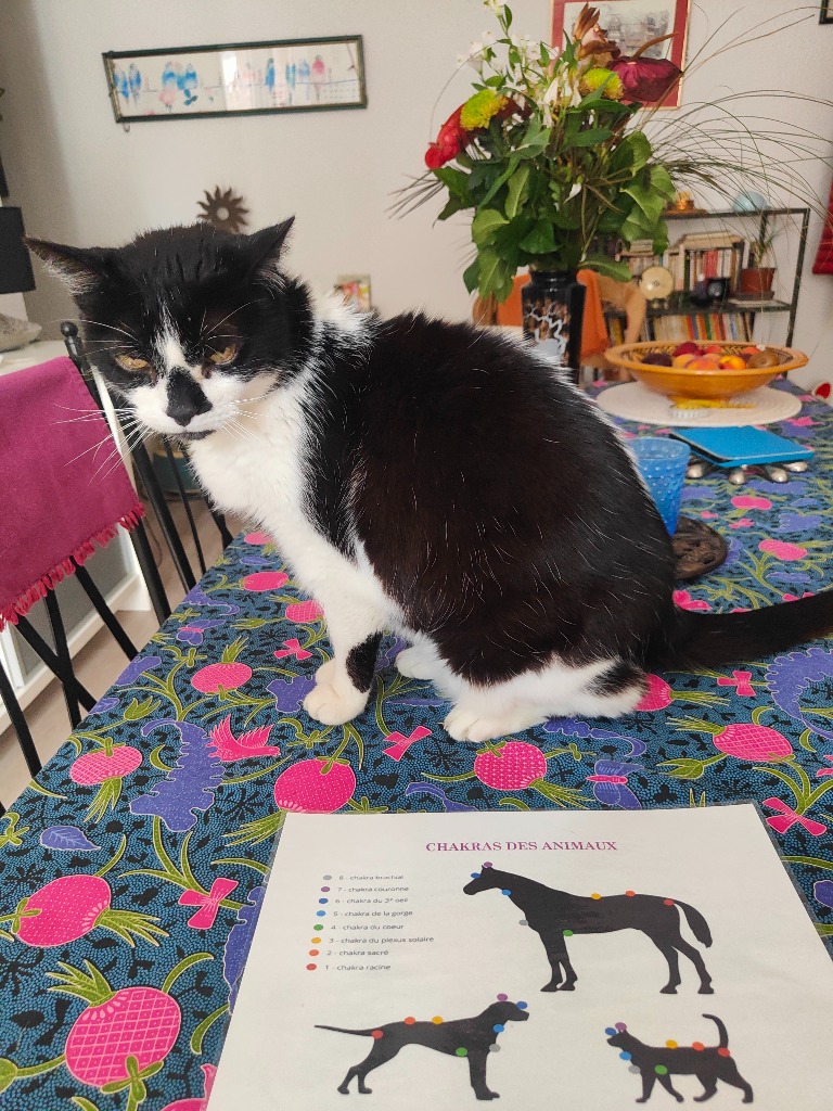 photo activite Johanne Caballero