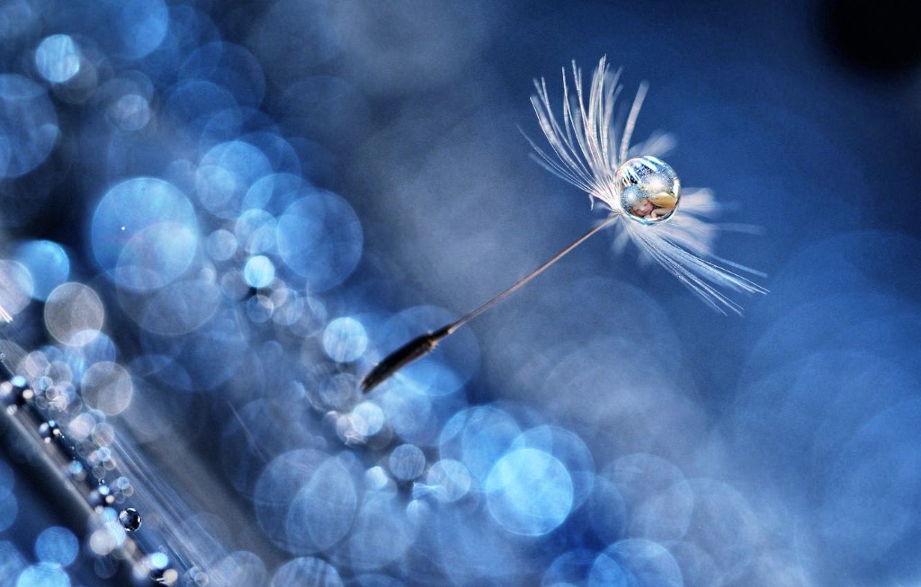 photo activite Stéphanie Dutruel