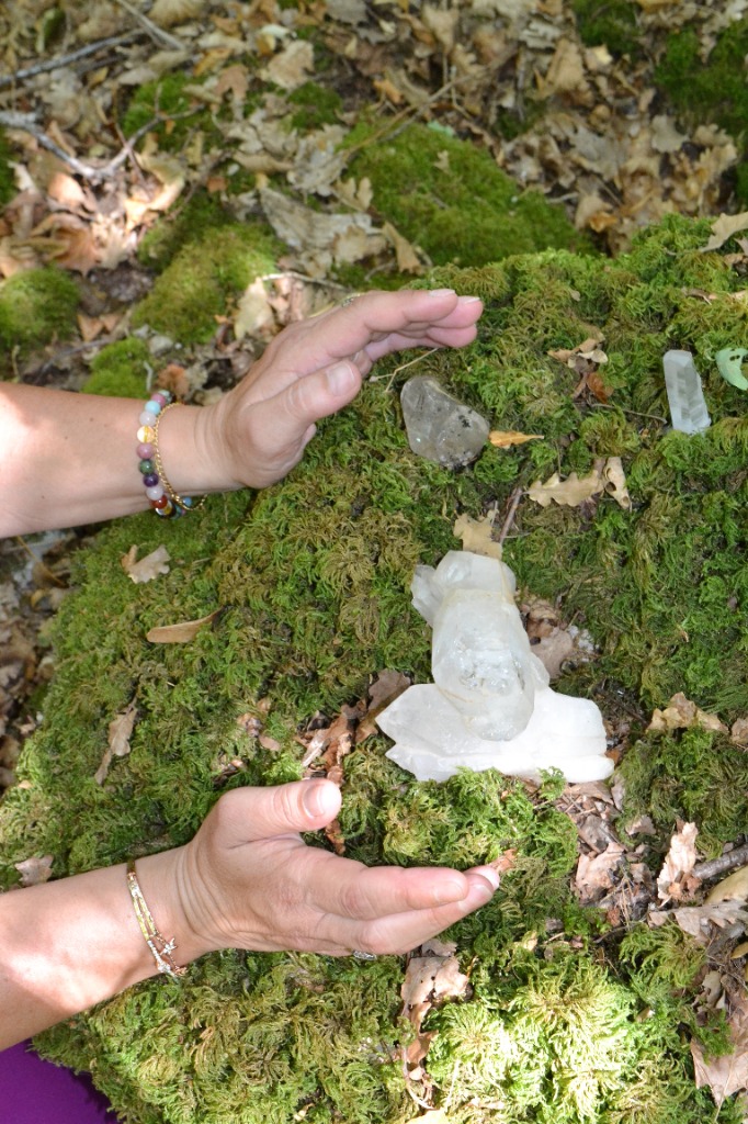 photo seance Véronique Chemarin