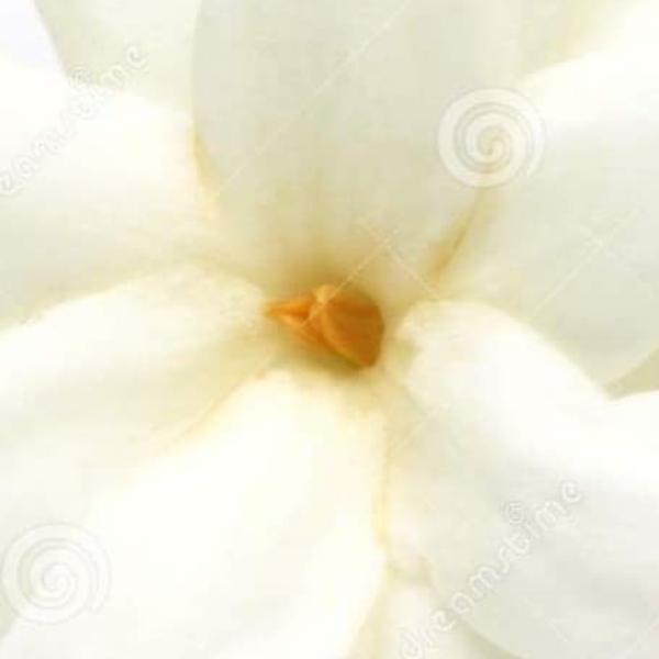 Christine Peyvergès