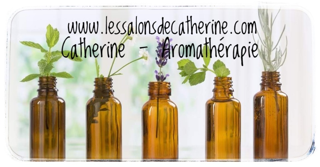 photo activite Catherine Audin