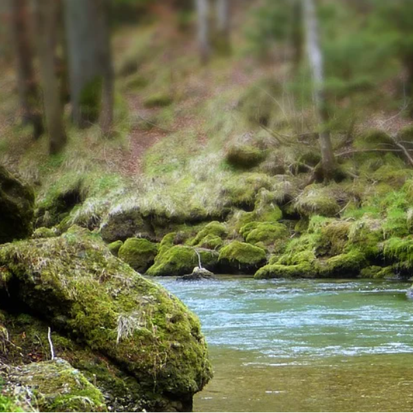 Françoise Lecordier