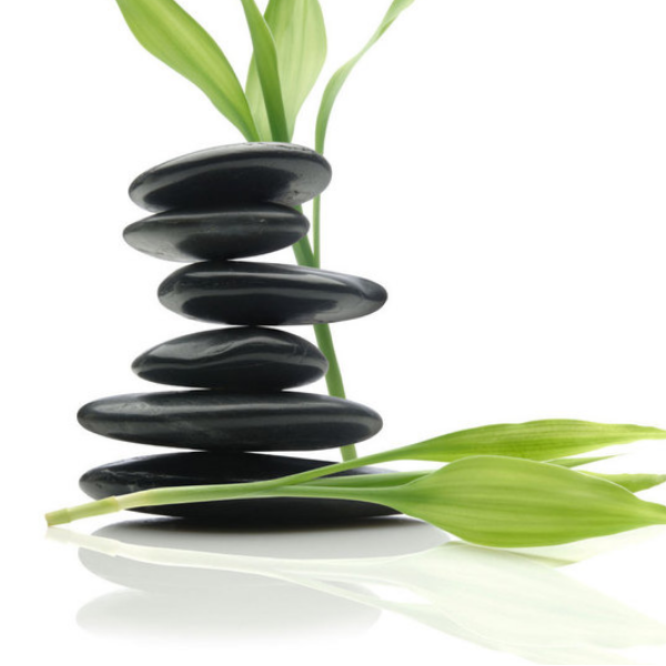 Amélie Desroches - Sport Santé Formation