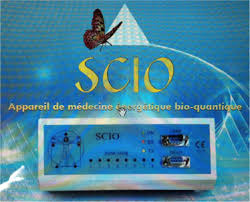 photo activite Fabienne Martin